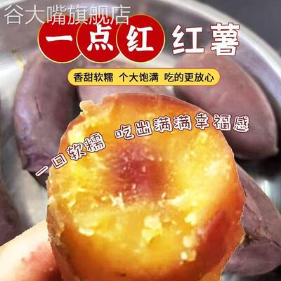 正宗广州南沙一点红番薯新鲜现挖冰淇淋红薯板栗薯农家自种蜜薯m