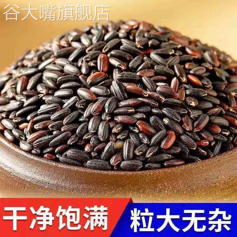 五常黑糯米官方旗舰店大米新米东北包粽子专用糯米紫米血糯米正宗