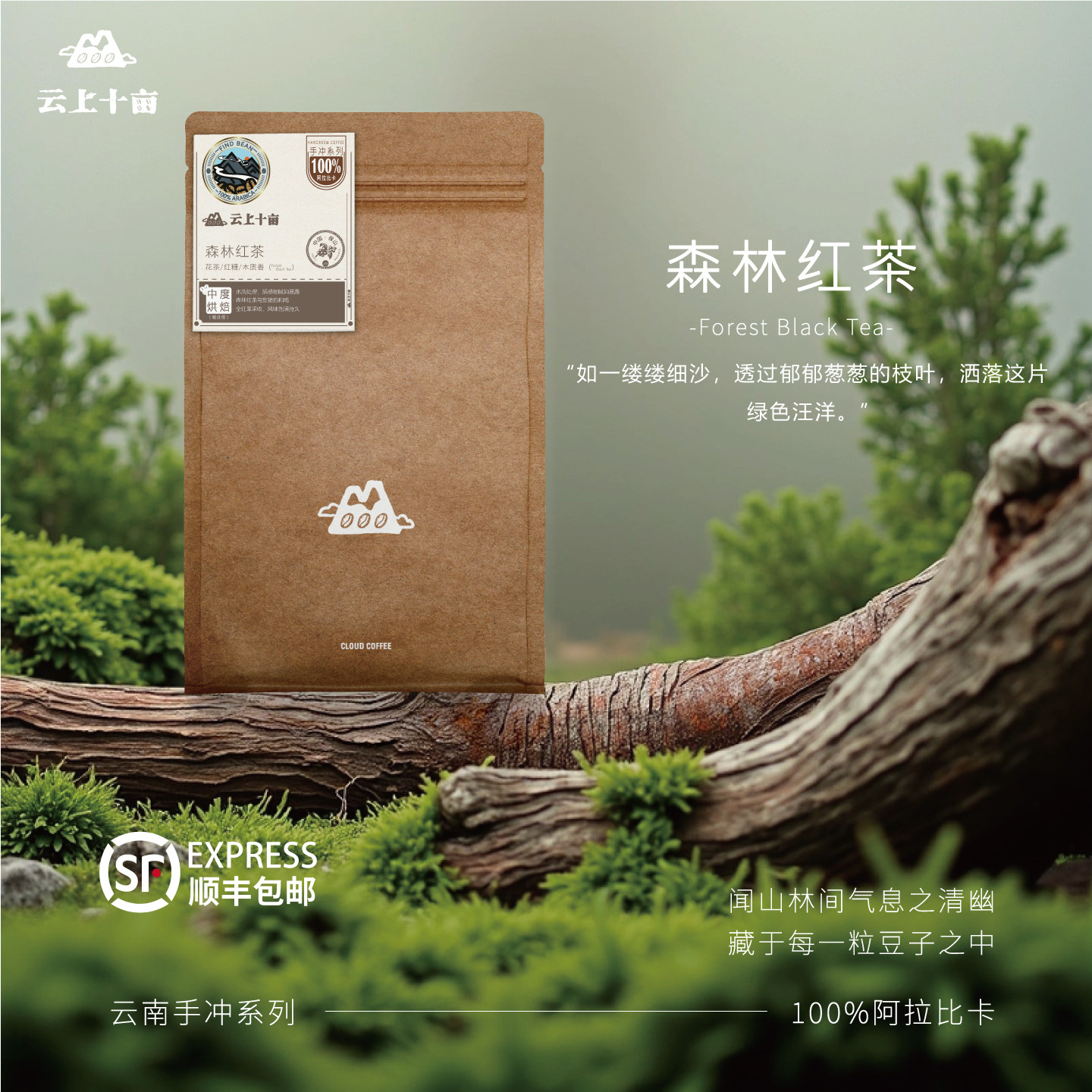 云上十亩 森林红茶 精品浓缩云南手冲咖啡豆 新鲜烘焙227g