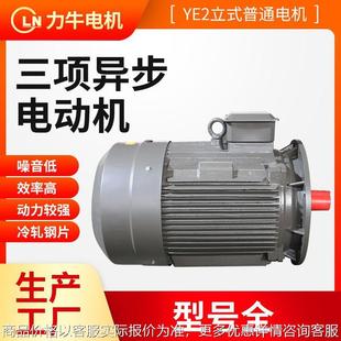 22立式 18.5 交流电机 225 三相异步电动机200