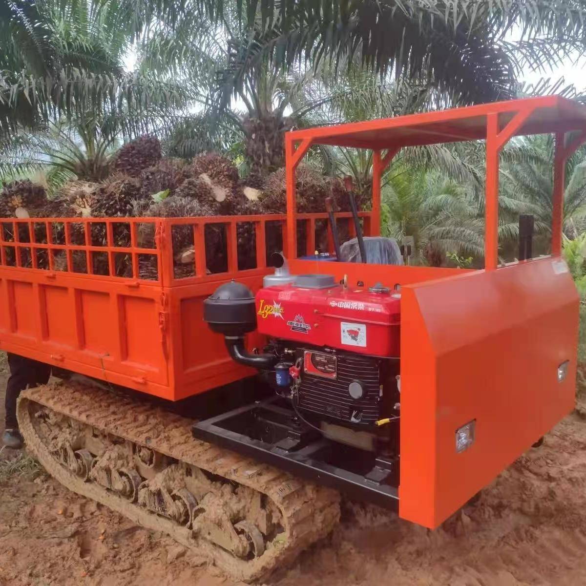 厂家直销马来履带棕榈运输橡胶运输多地形-8吨车全地形