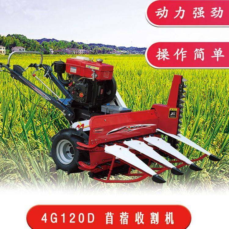 燕麦黑麦草甜叶菊收割机水稻大麦辣椒割晒机玉米高粱牧草割倒机,畜牧/养殖物资,特种养殖设备,淘宝优惠券,粉丝福利购,淘宝优惠卷