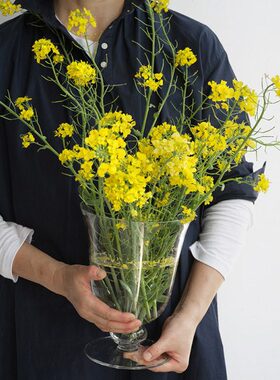 介直 Big Vase高透玻璃大号花瓶 法式中古感鲜切插花透明家居摆件