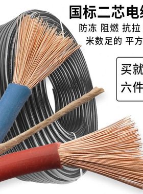 二芯国标2.5 4 6平方电线电缆线2芯户外防冻防水软线电源线护套线