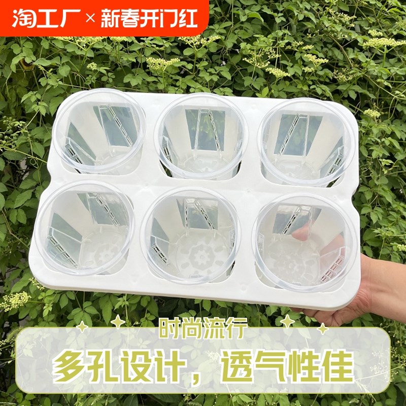 六格托架组合配12cm口径花盆透明色桌面阳台3寸杯X青山花盆套盆