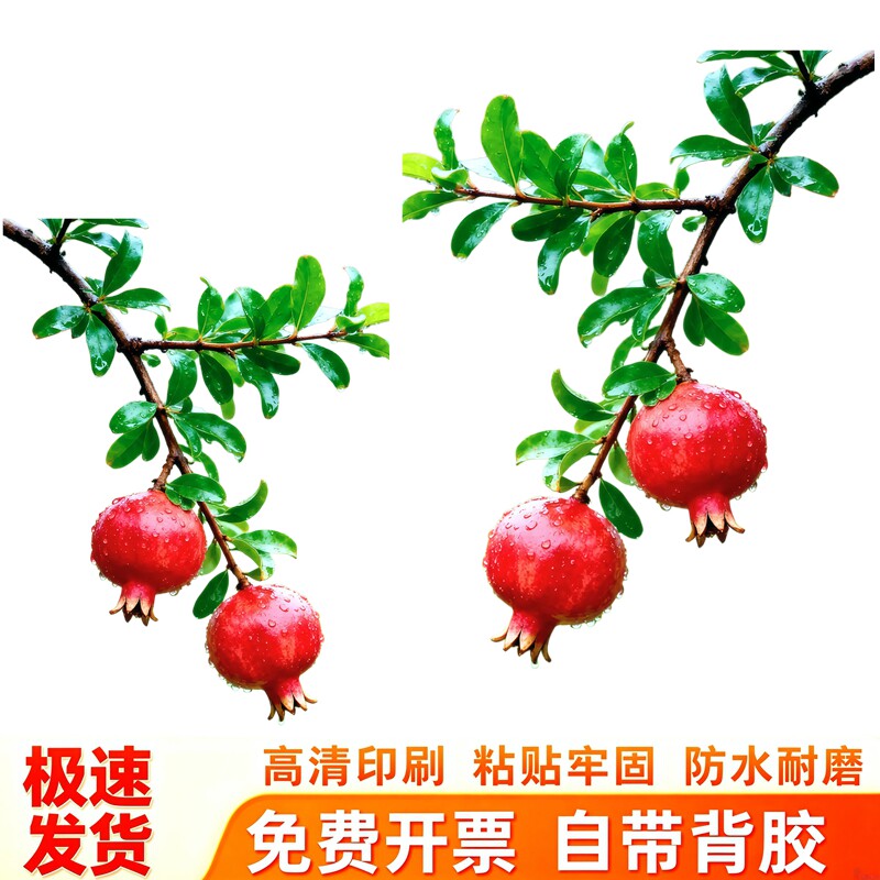 清新石榴冰箱贴纸多子多福寓意自粘防水家用冰箱翻新改造装饰贴画
