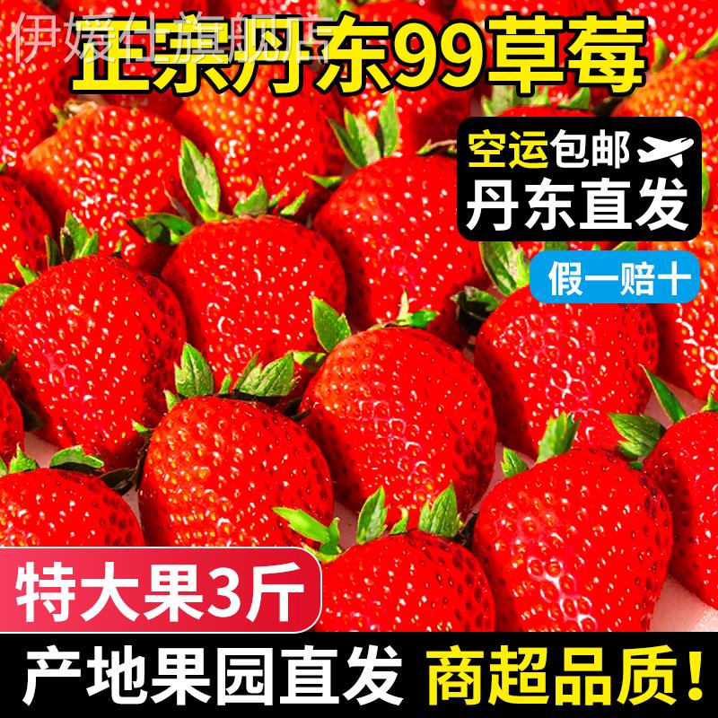 丹东草莓新鲜水果应季红颜99草莓3九九牛奶奶油大甜草莓5久久礼盒