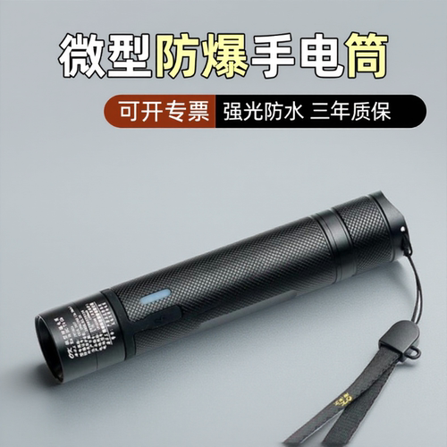 海洋王微型防爆LED手电筒可开票