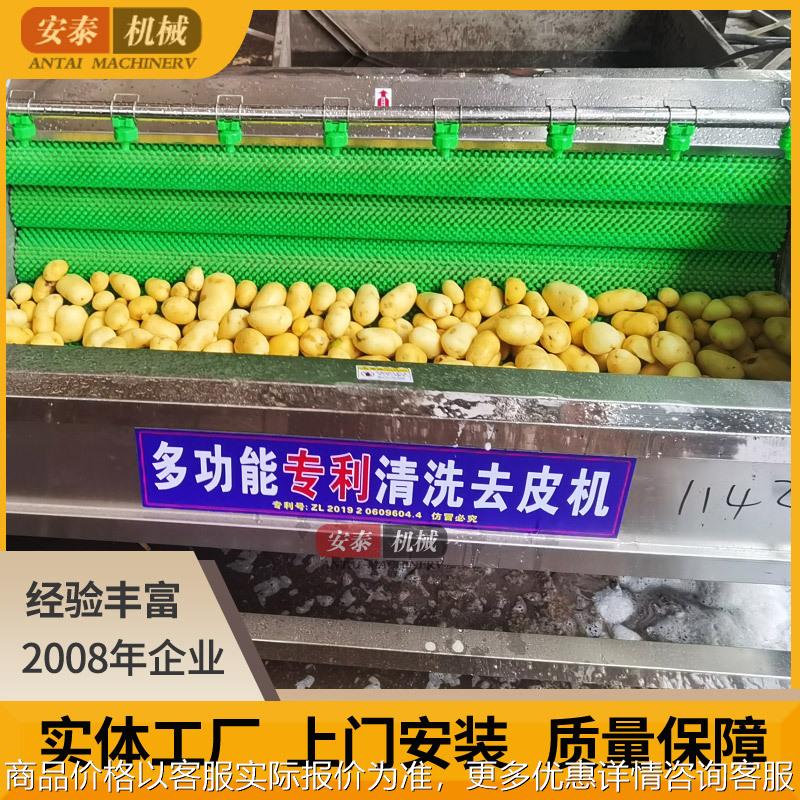 洋芋红薯毛辊清洗机土豆胡萝卜自动毛刷清洗设备清洗海蛎子机器