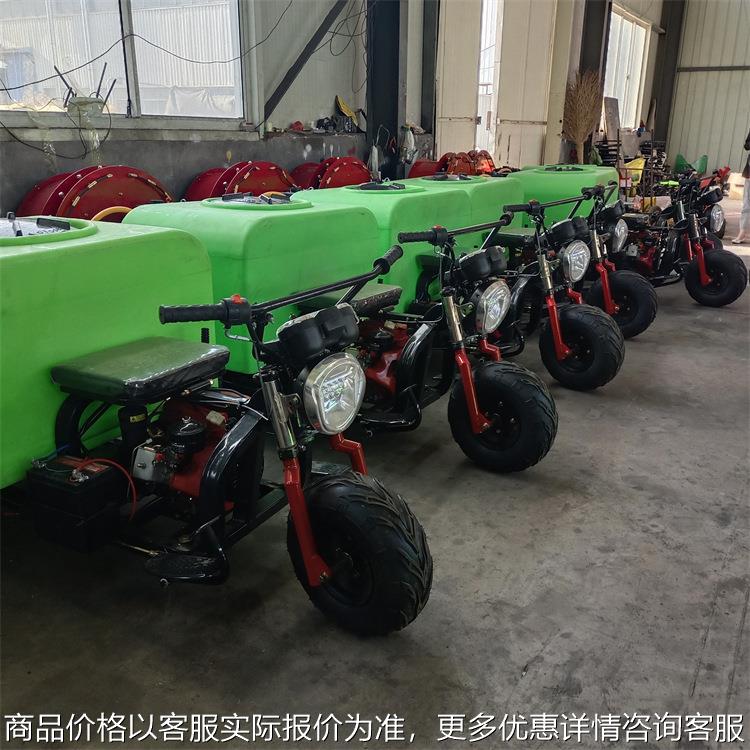 果園雙動(dòng)力風(fēng)送式打藥機(jī) 園林噴灑機(jī) 大馬力果園滅蟲(chóng)噴藥機(jī)廠家