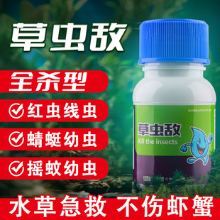 水产养殖小龙虾螃蟹池塘草虫净虾蟹杀吃水草虫清线虫水体红虫