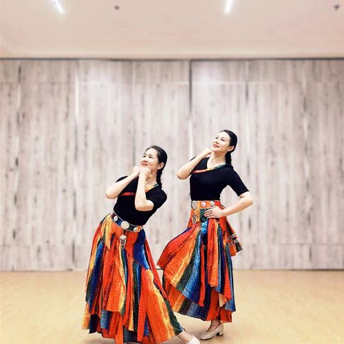 花与影新舞爱在纳木错藏族舞蹈服练习裙J藏族舞台演出广场舞套装