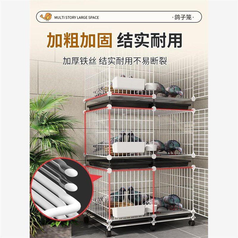 鸽子笼家用特大号养鸽子笼巢箱新型养殖柯尔鸭配对笼鸽舍鸽笼