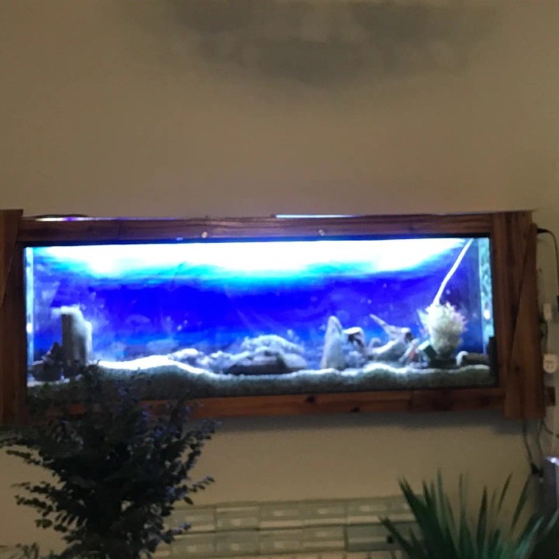 定制厂销碳化木壁挂式生态鱼缸挂墙水族箱壁挂式玻璃鱼缸1米