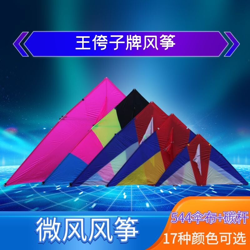 王侉子风筝 大型三角夜光风筝伞布碳杆成人初学者微风抗大风包飞