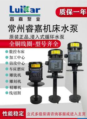 LuiKar睿嘉Rocoi高压线切割机床冷却精雕机油水泵LDPB1-2-4-15-18