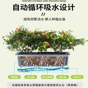 阳台种菜盆超窄窗沿边蔬菜草莓种植专用箱长方形多肉花槽懒人花盆