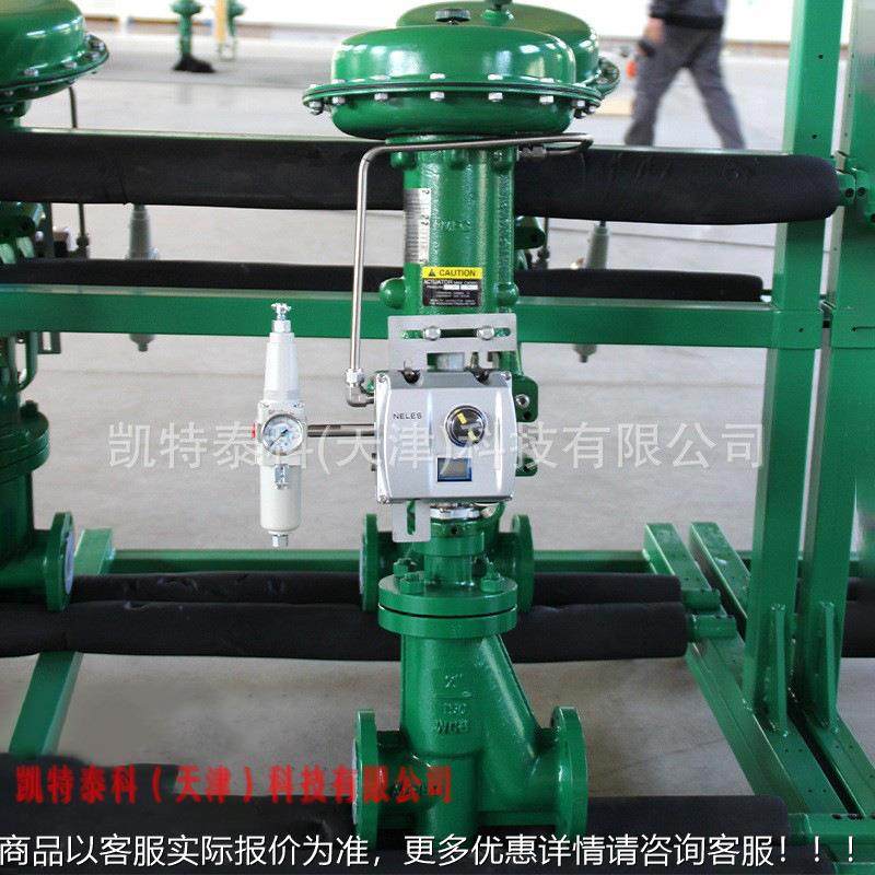 657/667执行TNF机构费V希尔RS衬里S阀 RLSS ined Globe alve