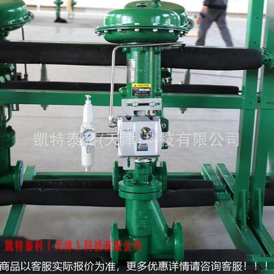 657/667执行TNF机构费V希尔RS衬里S阀 RLSS ined Globe alve