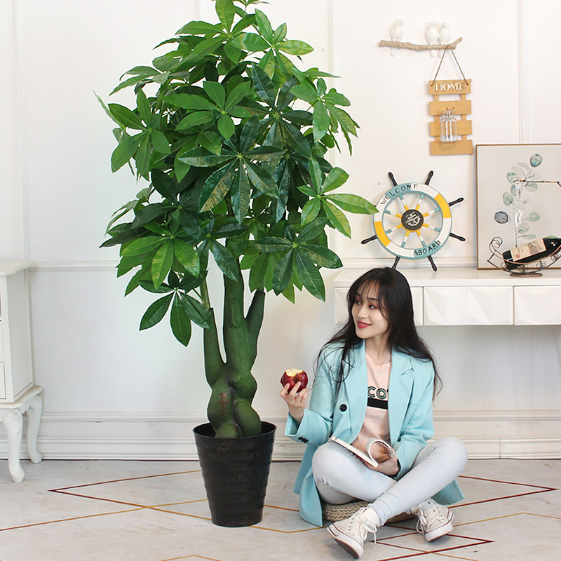 发财树彷真绿色植物彷生