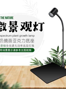 生态瓶植物生长补光灯 微景观苔藓LED照明 多肉专用插电式灯具