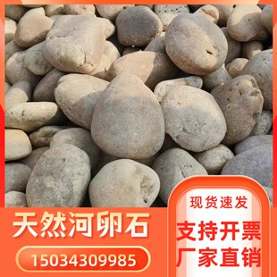 贵州河滩石园林绿化用 河卵石 河卵石 变电站用鹅卵V石 鹅卵石滤