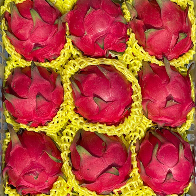 金都一号红心火龙果新鲜孕妇红肉当季水果鲜甜多汁大果,水产肉类/新鲜蔬果/熟食,火龙果,淘宝优惠券,粉丝福利购,淘宝优惠卷