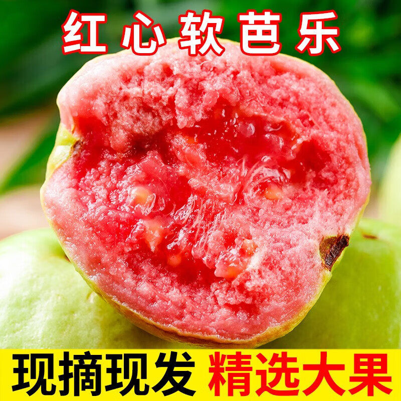 【顺丰直达】红心软芭乐番石榴现摘现发精选大果新鲜水果产地直发,水产肉类/新鲜蔬果/熟食,番石榴/芭乐,淘宝优惠券,粉丝福利购,淘宝优惠卷