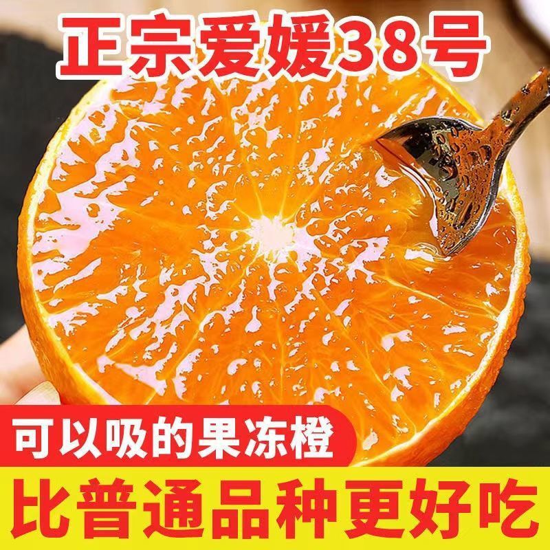 当季爱媛38号果冻橙新鲜橙子当季水果正宗甜柑橘蜜桔大果整箱