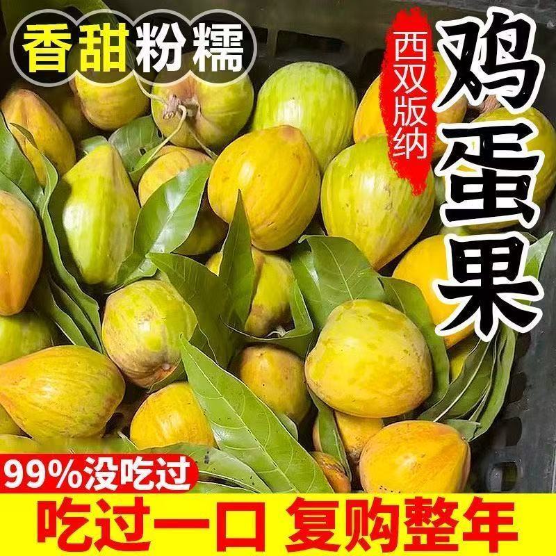 云南露天种植蛋黄果西双版纳特产鸡蛋果新鲜水果粉糯香甜当季现摘