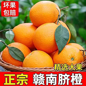 正宗！！！江西新鲜赣南脐橙4.5斤