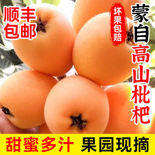 【顺丰包邮】云南蒙自当季枇杷香甜多汁新鲜水果琵笆枇杷赠枇杷叶