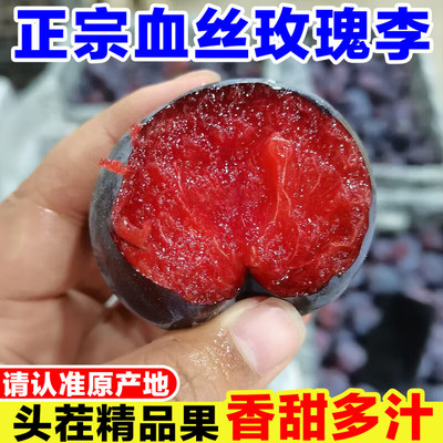 5斤应季风味玫瑰血丝李红心李子时令水果黑布林红肉恐龙蛋