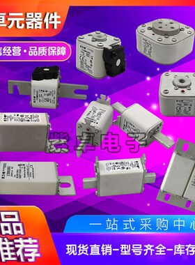 170M3812  170M3981 170M3982 170M3983 170M3984 170M3985保险丝