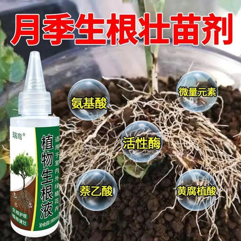 生根药水复活液枯树再生液【扦插神器】月季玫瑰生根剂生根壮苗剂