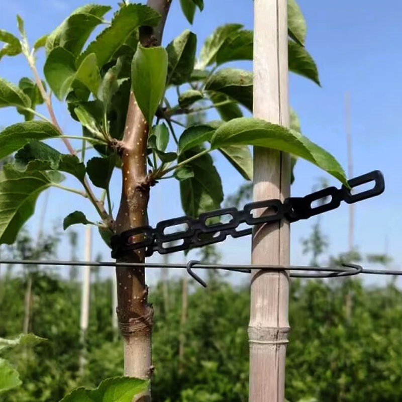 果树主干支柱固定器竹竿固定卡竹片钢丝卡扣果树防风固定器连接器