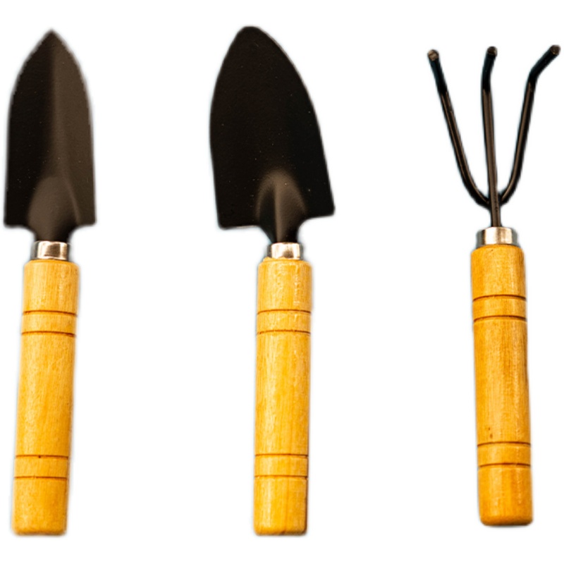 园艺三件套铁铲铁耙铁楸迷你套装工具家庭种植多肉挖土木柄盆栽