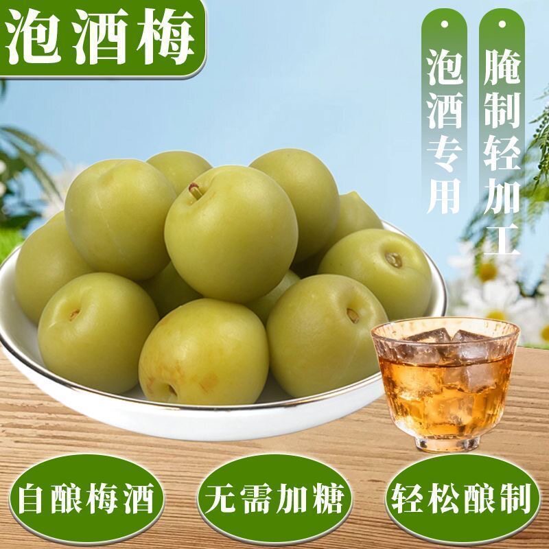 轻加工青梅鲜果泡酒专用适配脆梅子新鲜精选清香黄梅酸甜开胃大果