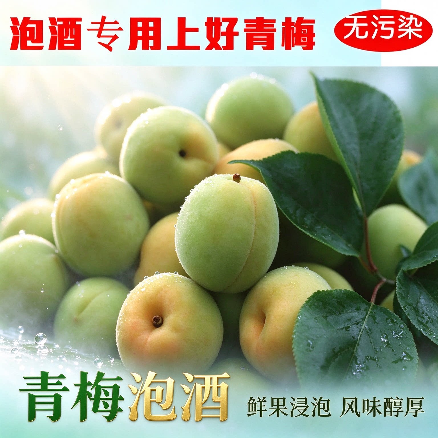 轻加工青梅鲜果泡酒半成品水果零食自酿酸梅子黄梅解腻口感丰厚