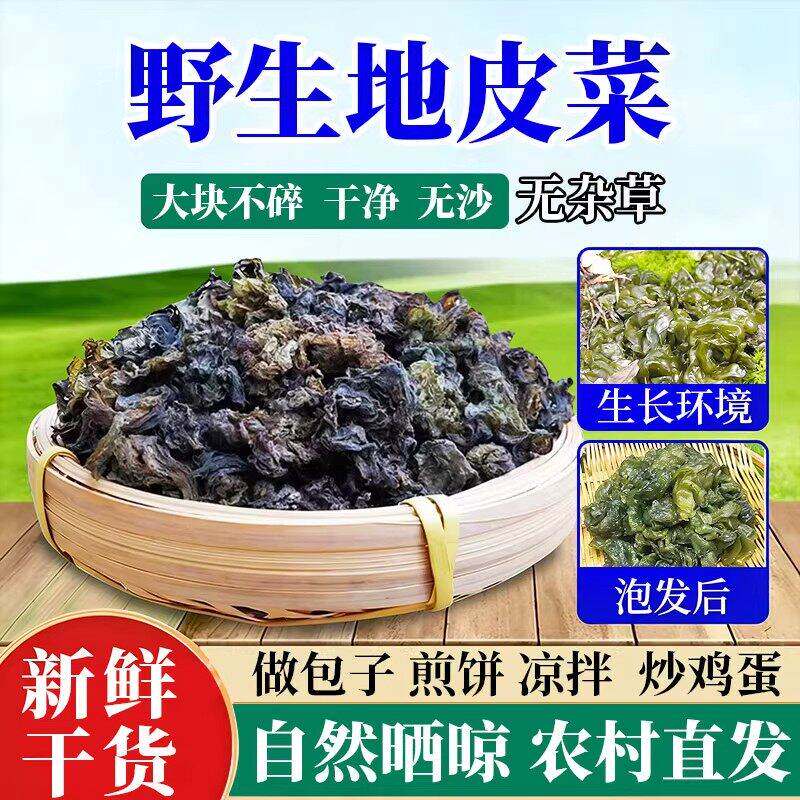 地软地皮菜野生免洗干货地衣菜新鲜农家地木耳地达菜特产地耳小吃
