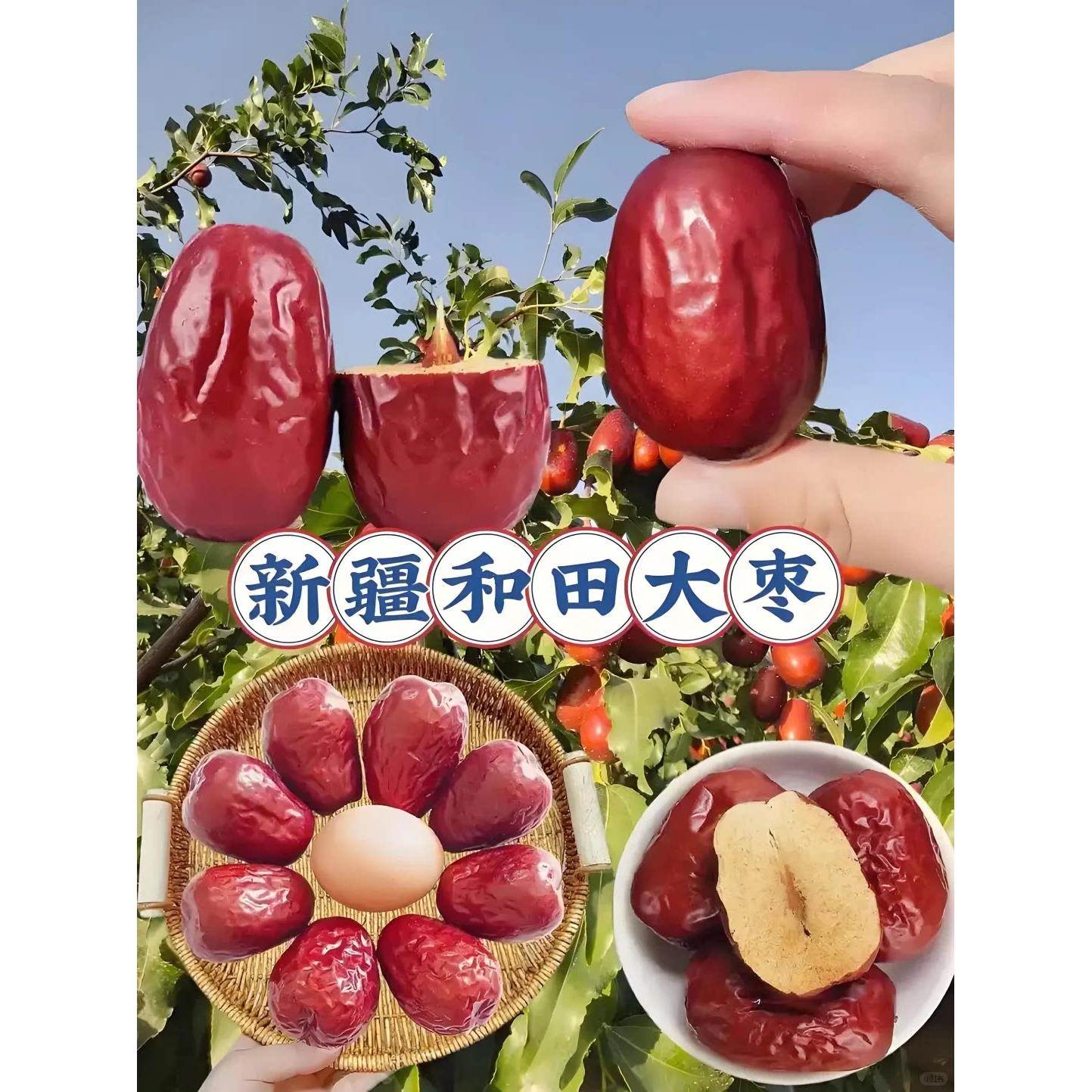 新疆红枣特级和田大枣零食特产一级大红枣子新蜜枣干果