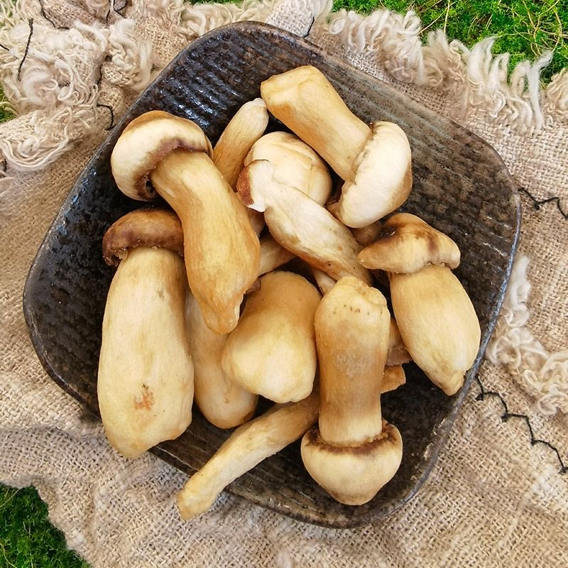 赤松茸脆片果蔬冻干散装脱水水果干混合蔬菜批发零食健康低负担