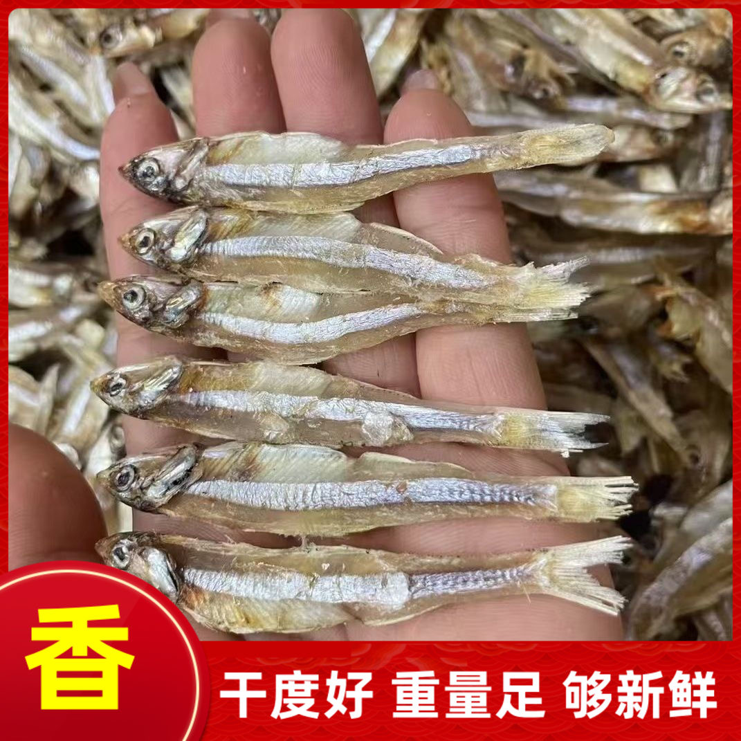 淡干公干鱼海燕鱼小鱼干新货白帆鱼海鲜干货摆地摊展会500克食材