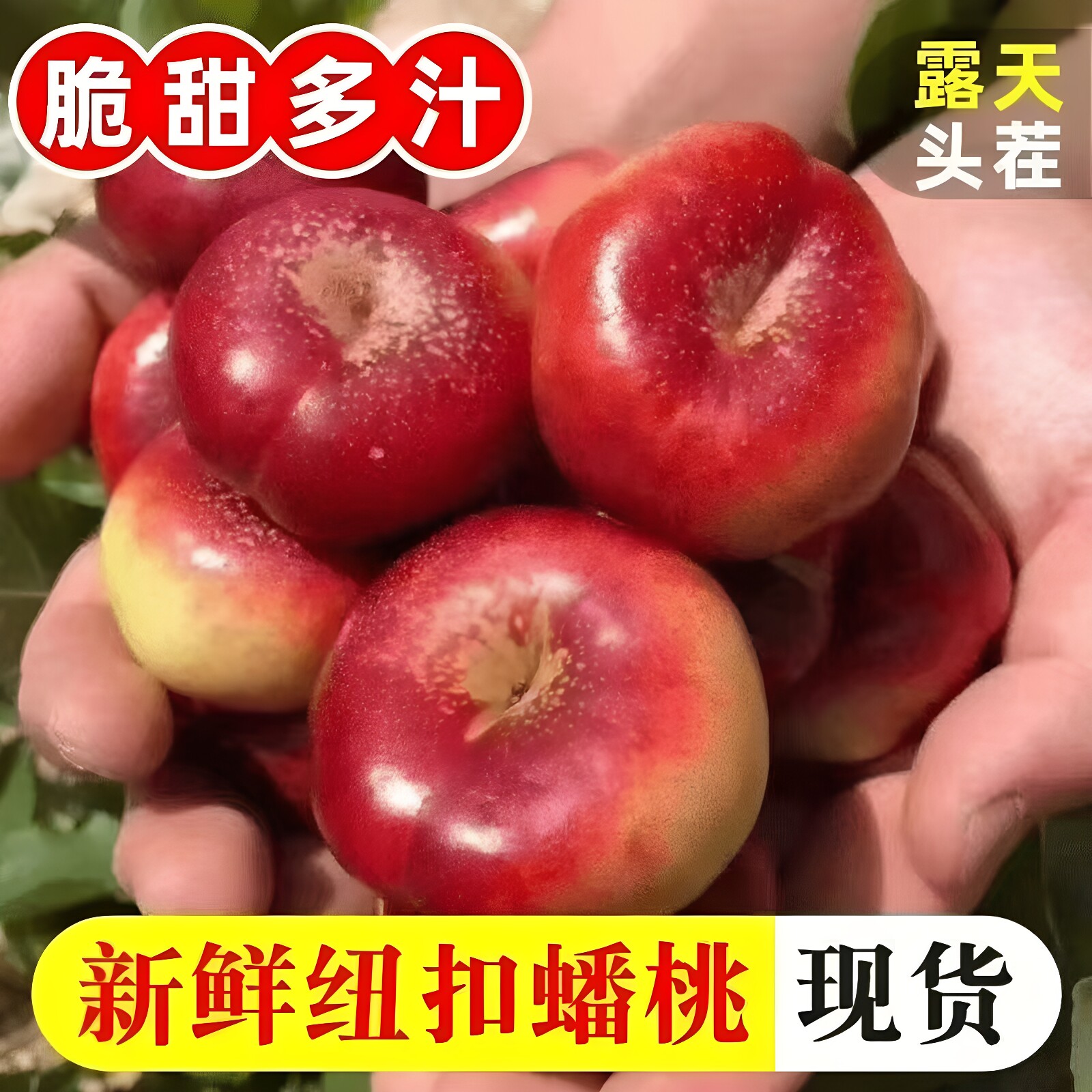 陕西纽扣油桃油蟠桃5斤新鲜包邮应当季孕妇水果油桃整箱桃子批