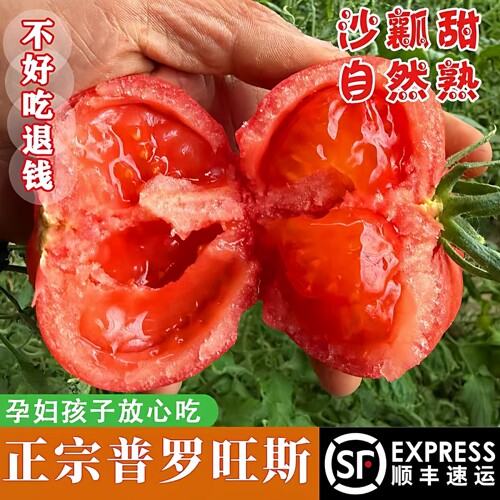 【顺丰包邮】陕西泾阳普罗旺斯西红柿5斤新鲜孕妇沙瓤番茄生吃