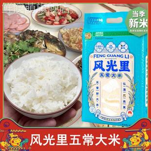 风光里五常大米米村拌饭同款专用半天妖烤鱼门店米饭正宗东北大米