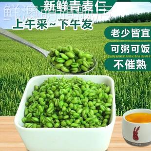 河南正宗青麦仁新鲜青麦粒米清麦绿麦粒麦穗五谷杂粮粗粮煮粥2024