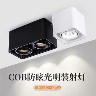 筒灯客厅无主灯照明盒子灯双头斗胆灯格栅灯过道玄关吸顶射灯 明装