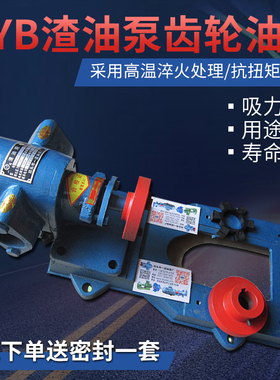 铸铁一道渣油泵ZYB155833高温家用小型加油抽油齿轮泵头新款电动