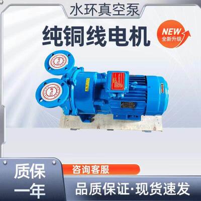 热销品真空泵工业用2BV水环式大功率压缩机高真空水循环抽气泵
